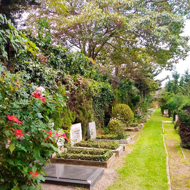Cementerio Alemán Inhumación - Arriendo Lote por 4 Años