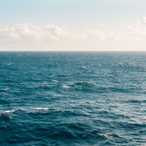 Devenir del mar