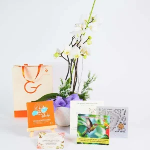 Kit Natural Memorializar