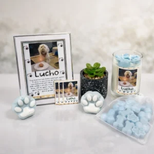Kit conmemorativo para despedir a tu mascota con amor