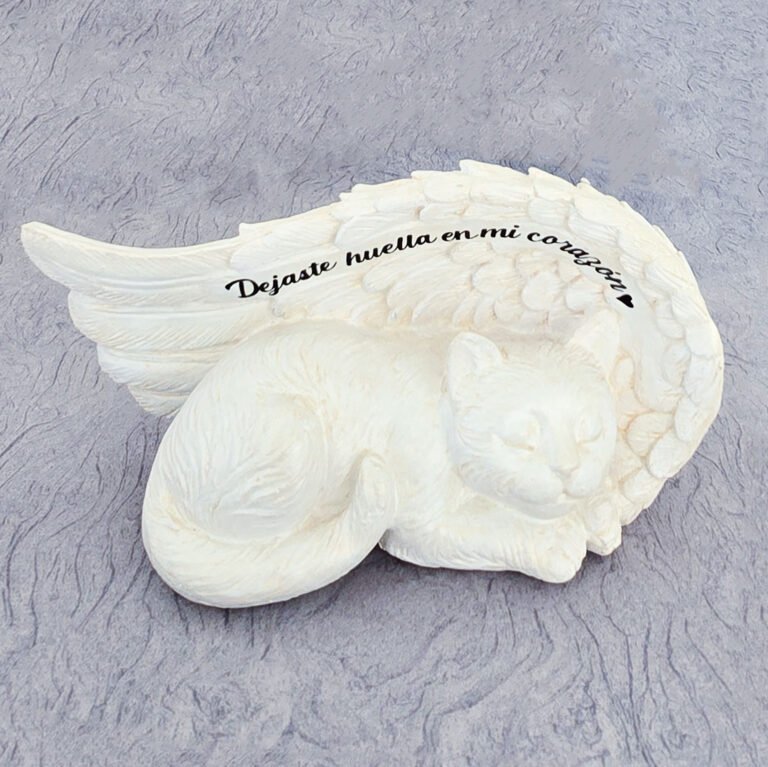 Regalo para persona que perdio un gato