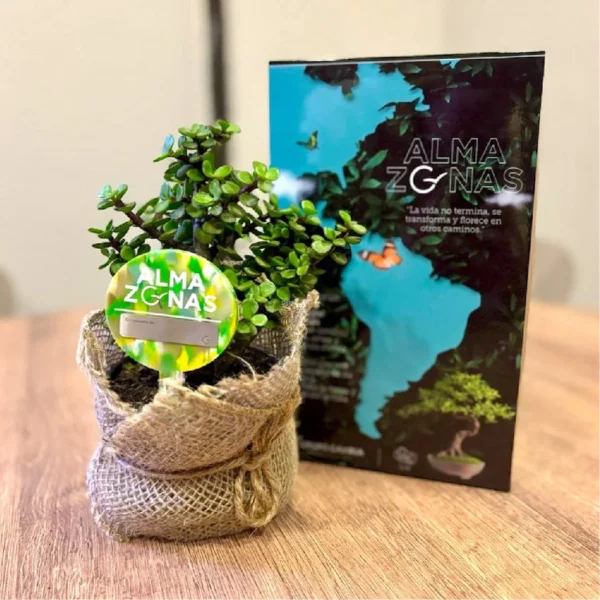 Planta en maceta envuelta en arpillera con etiqueta “ALMA ZONAS”, acompañada de cartel con mapa de Sudamérica y mariposas. Homenaje ecológico que transforma el duelo en vida.