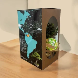 Caja ecológica de AlmaZonas con diseño simbólico y bonsái visible, homenaje que conecta memoria y naturaleza.