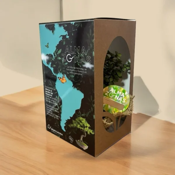 Caja ecológica de AlmaZonas con diseño simbólico y bonsái visible, homenaje que conecta memoria y naturaleza.