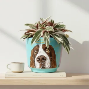 Matera Pintada a Mano de tu mascota